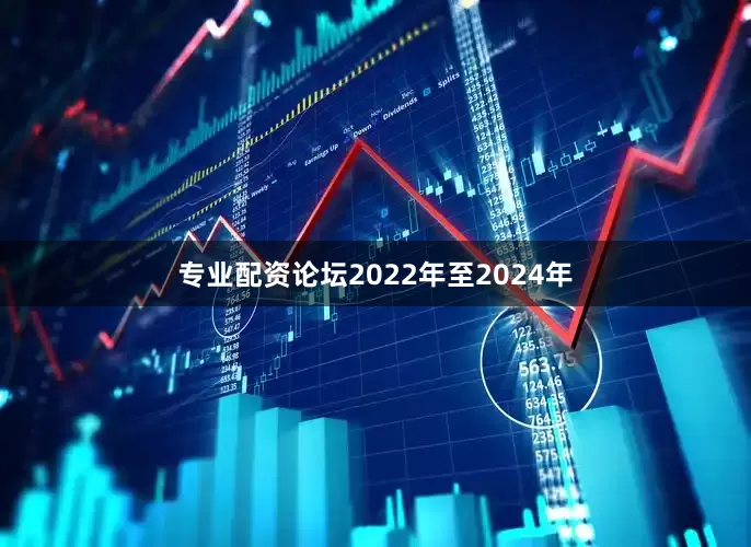 专业配资论坛2022年至2024年