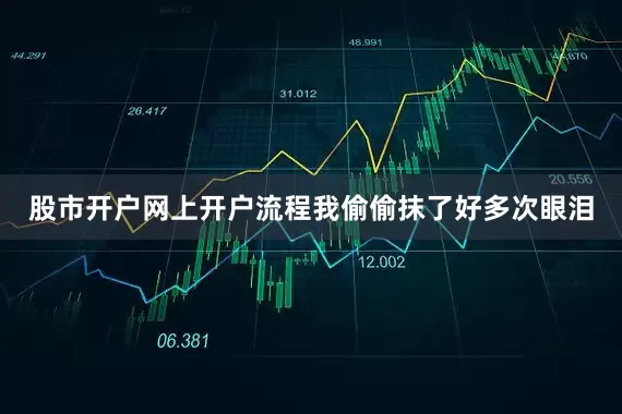 股市开户网上开户流程我偷偷抹了好多次眼泪